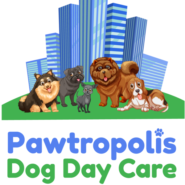 Pawtropolis sales dog daycare